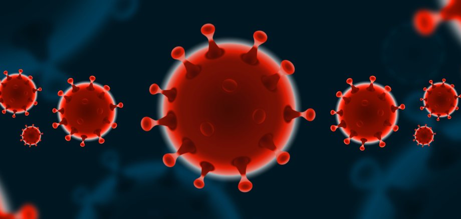 Ein Corona-Virus graphisch dargestellt.