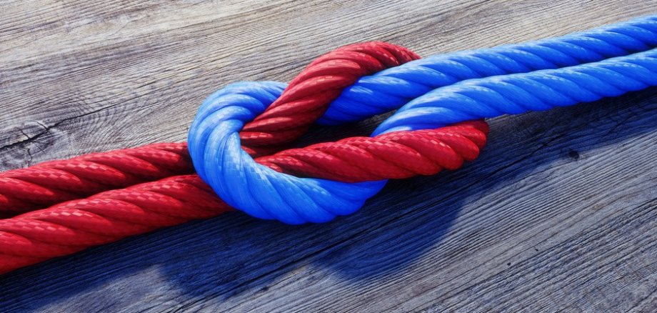 Knoten mit rotem und blauem Seil auf Holz.