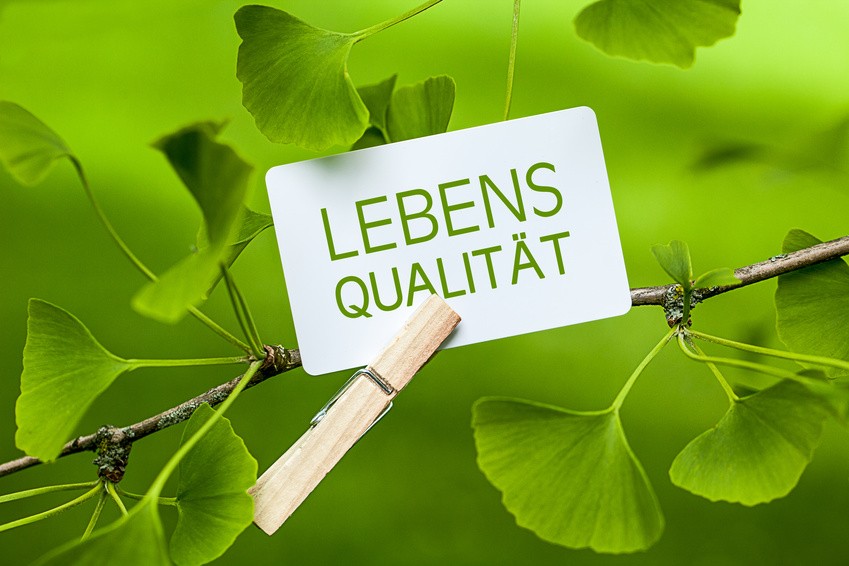 Lebensqualität Ein Zettel an einem Zweig mit der Aufschrift "Lebensqualität"