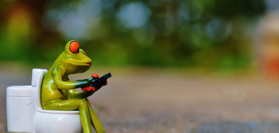 Ein Spielzeug-Frosch auf einer Toilette im Park.