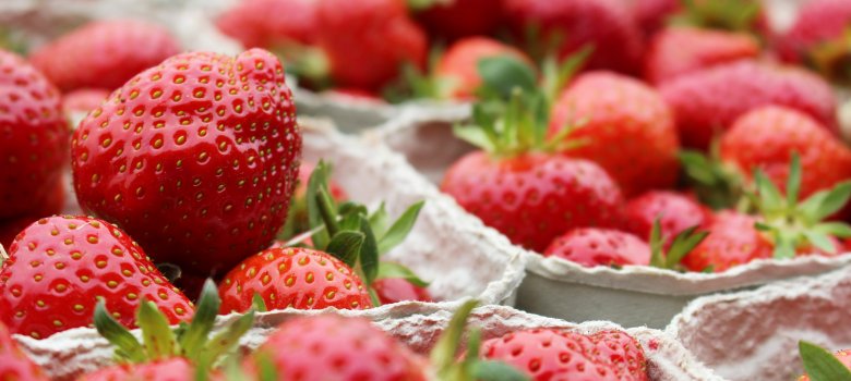 Eine Nahaufnahme mehrerer Schälchen voller frischer, roter Erdbeeren.