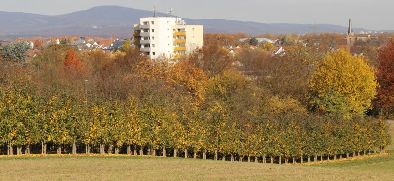 Kriftel_Hochfeld_Foto FFC.JPG