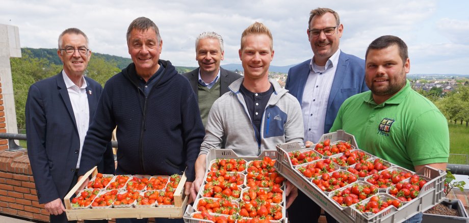 Landrat, Bürgermeister und Krifteler Erdbeerbauern mit roten Früchten.