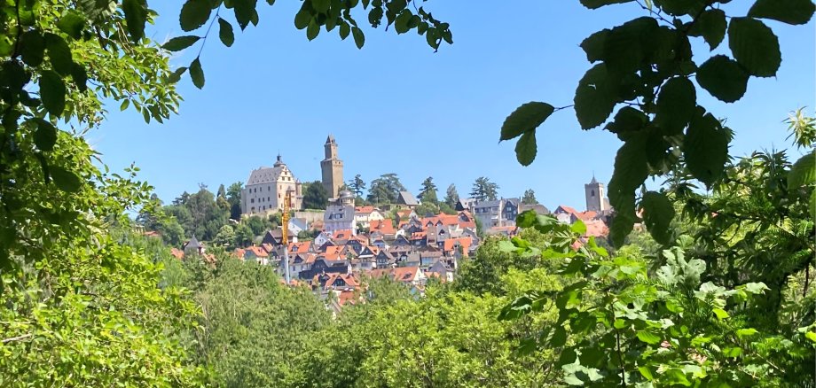 Blick auf die Burg Königstein.
