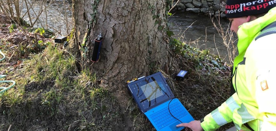 Ein Testgerät ist mit einem Baumstamm verbunden.