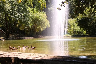 Der Weiher mit Fontäne.