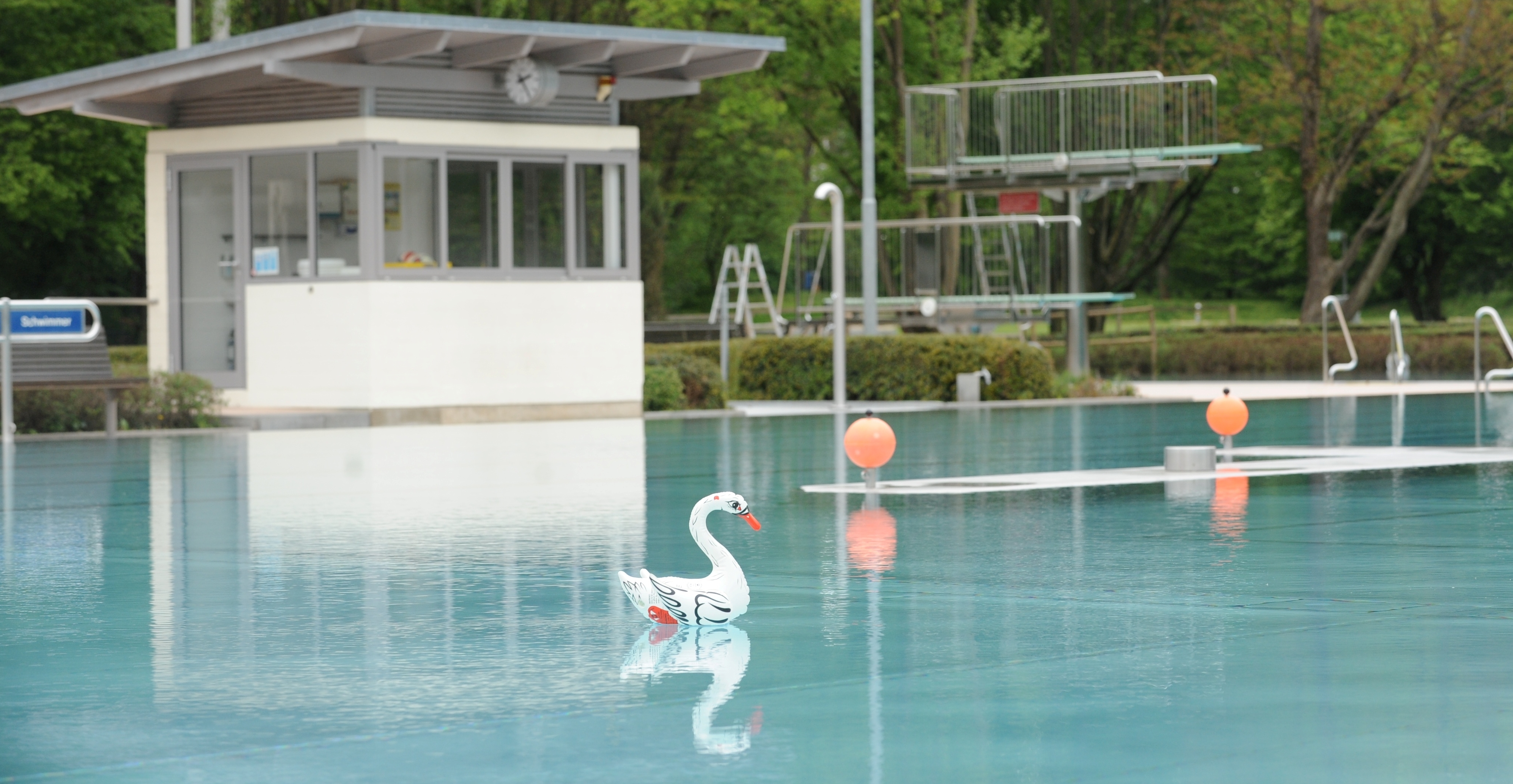 Ein Gummischwan im Parkbadbecken. Sonst ist es menschenleer.