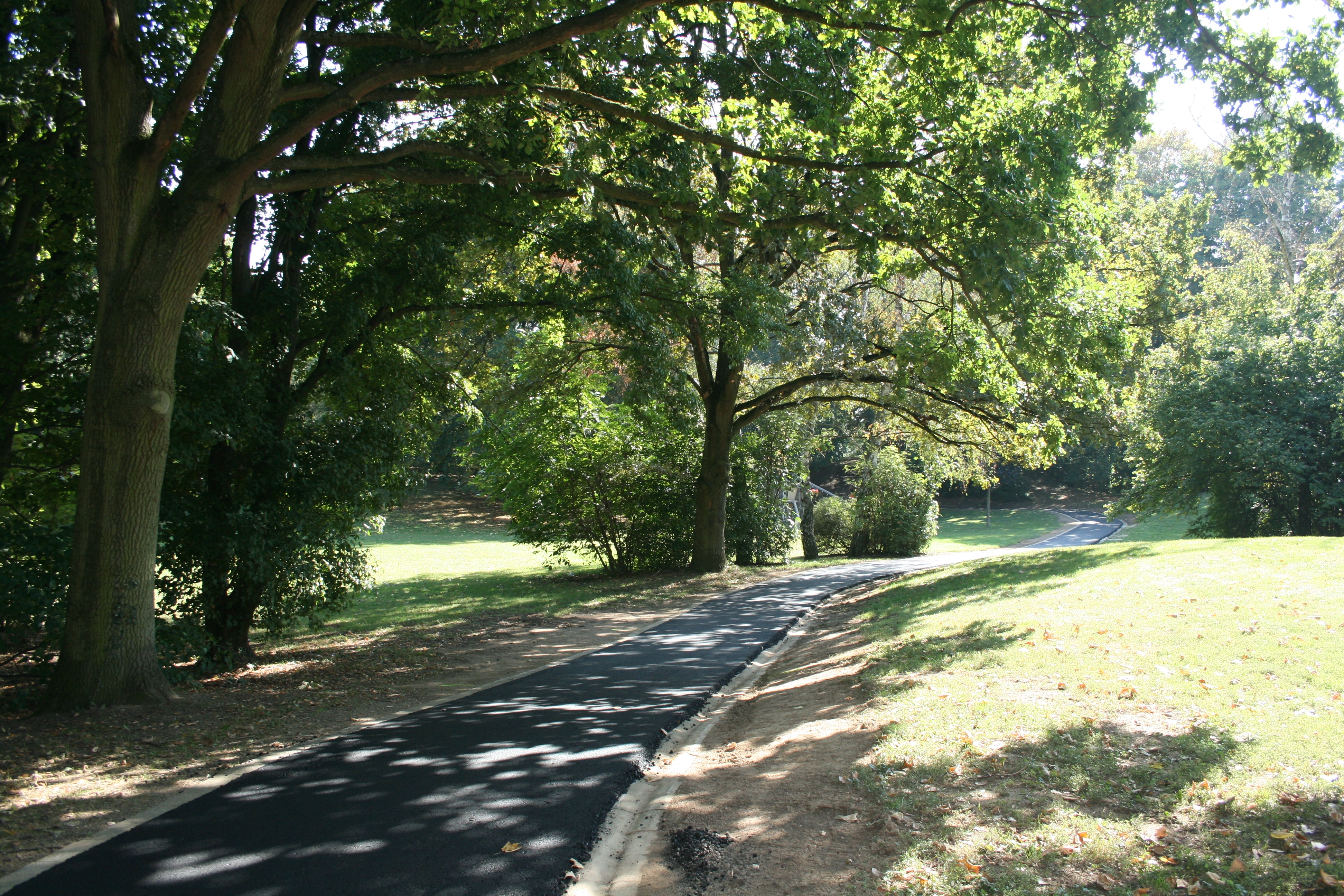 Der neu asphaltierte Weg im Freizeitpark.