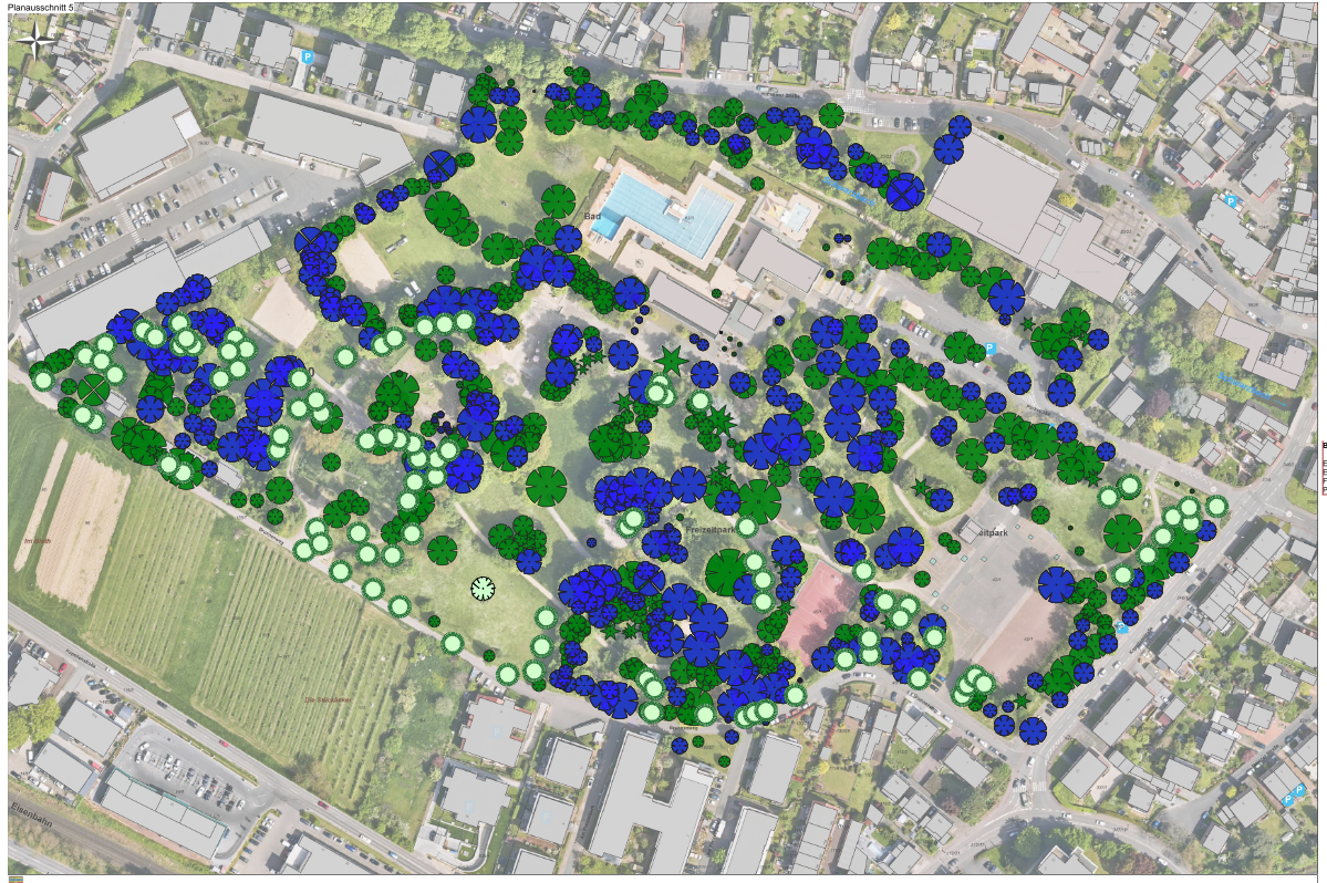 Eine Karte mit eingezeichneten Baumstandorten.