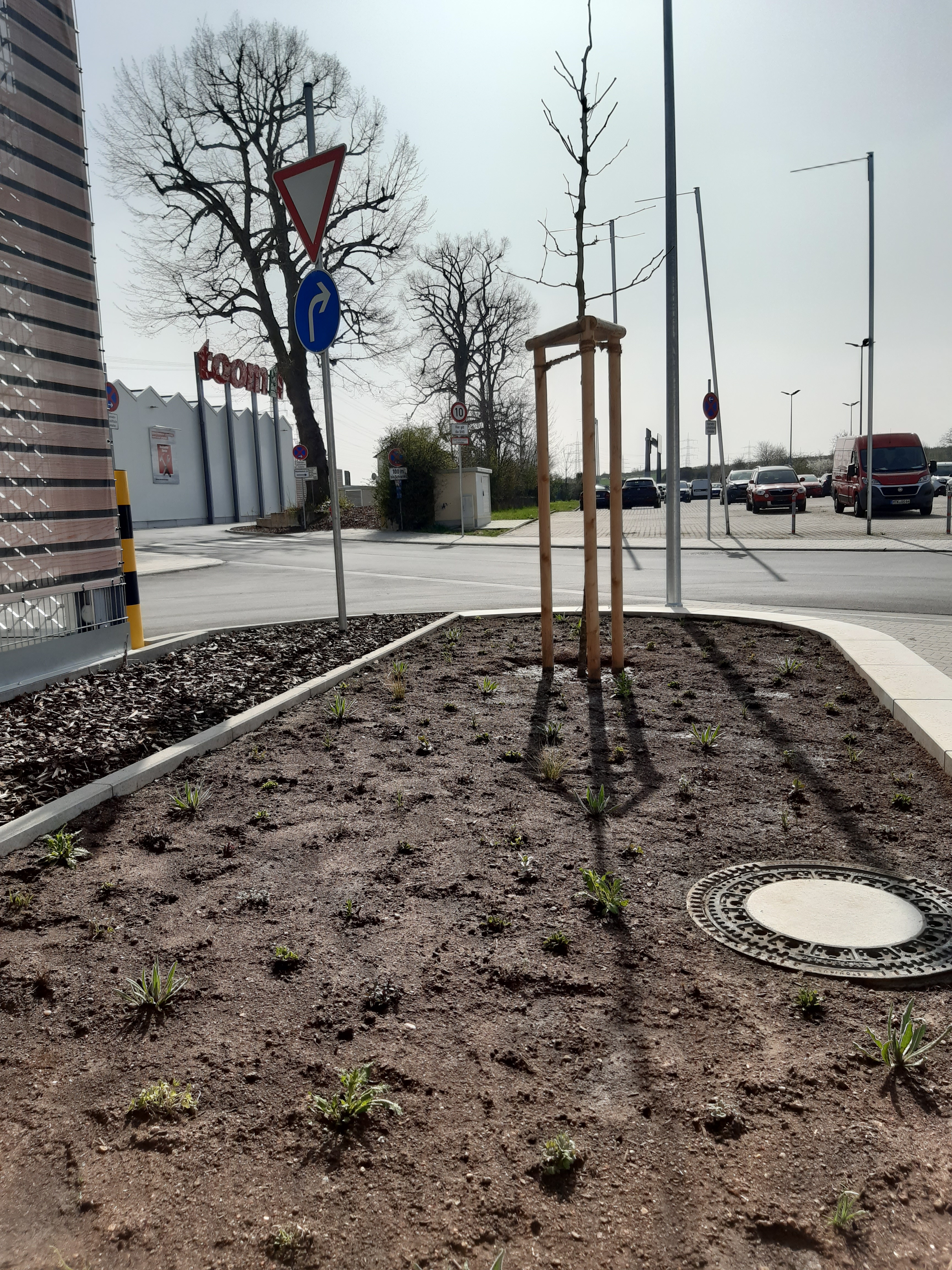 Das Beet vor TOOM mit Mini-Pflanzen.