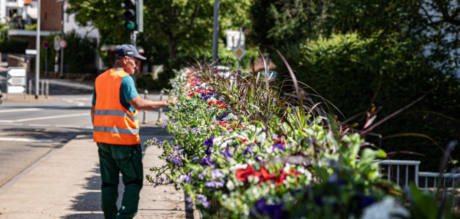 Ein Mitarbeiter den Bauhofes vor den neubepflanzten Blumenkästen am Brückengeländer. Hinten sieht man die Kirchturmspitze.