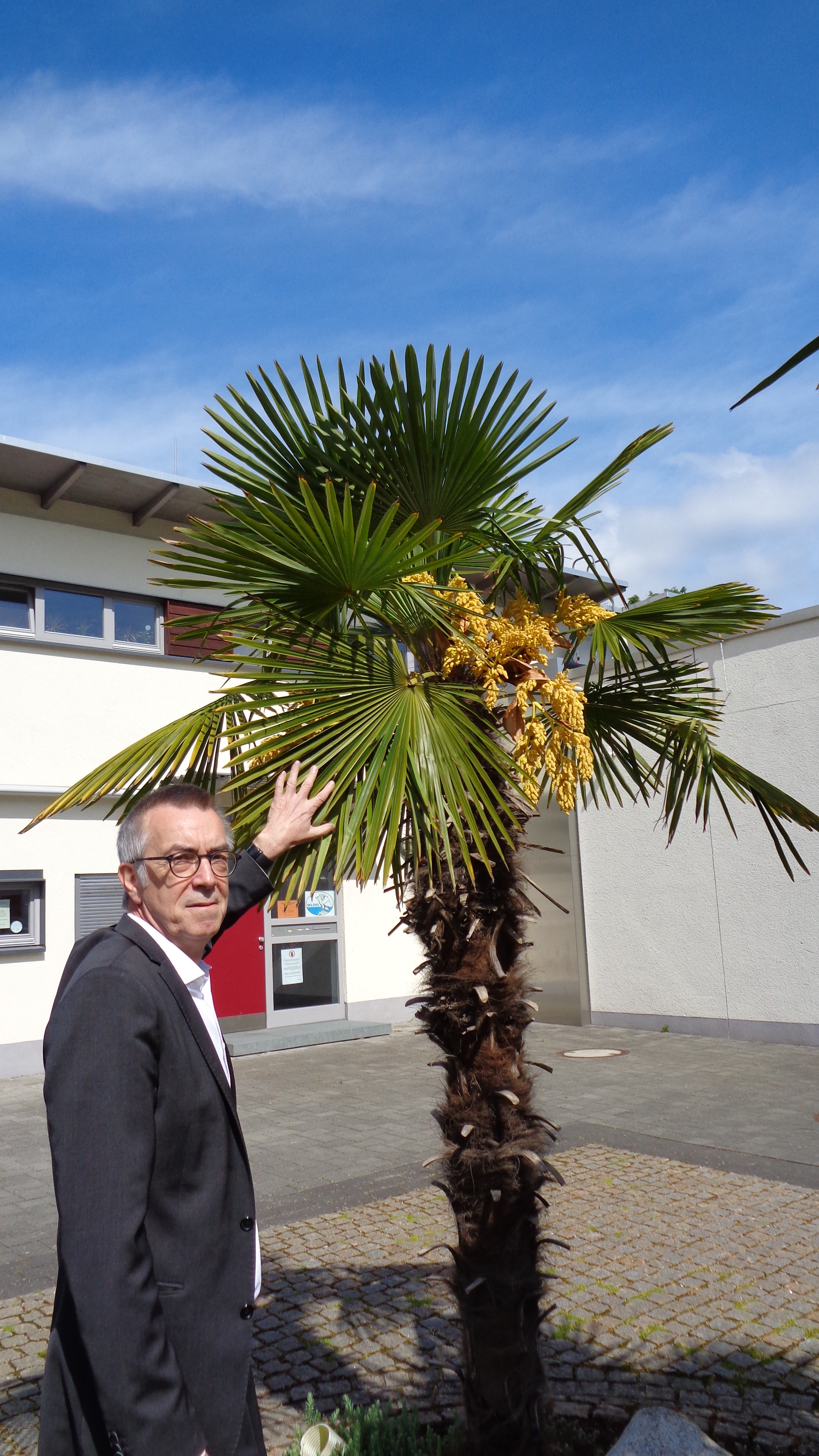 Franz Jirasek zeigt auf die Blüten der palme vor dem Parkbad.