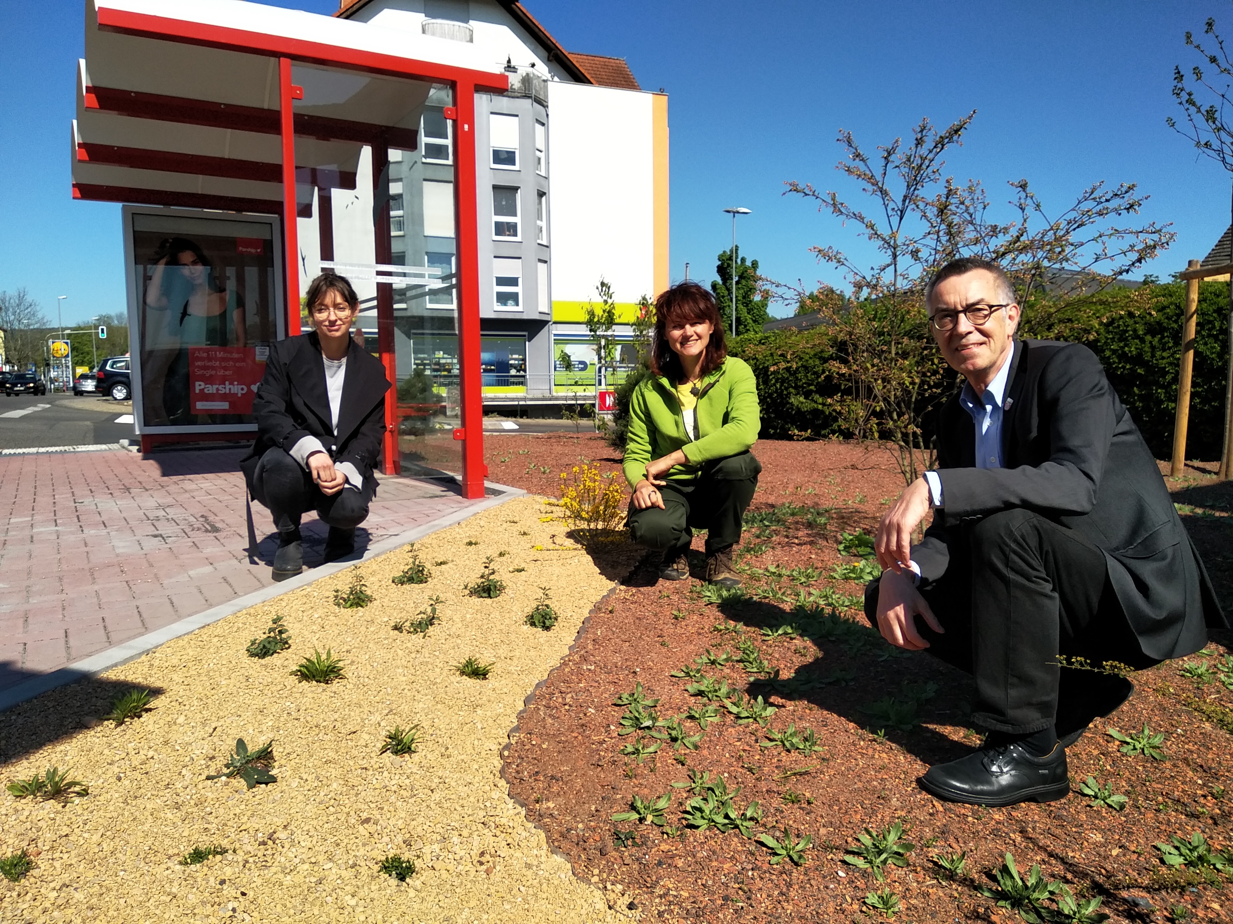Der Erste Beigeordnete Franz Jirasek mit Katharina Keib (Amt für Grünes) und Iris Sparwasser (Landschaftsarchitektin) vor dem neuen Beet in der Oberweidstraße.