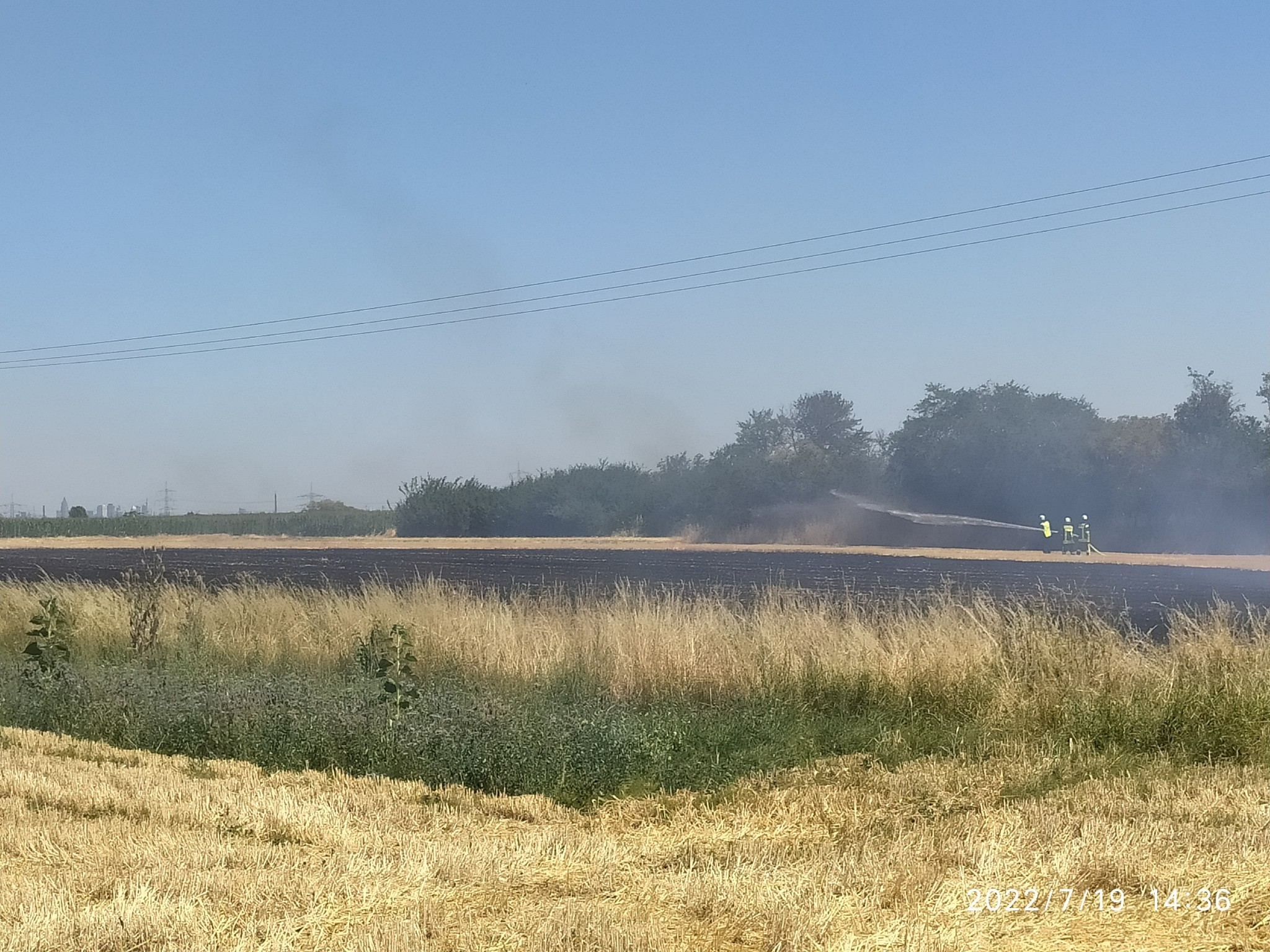 Abgebrannte Fläche im Hochfeld.