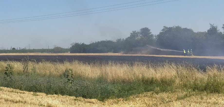 Abgebrannte Fläche im Hochfeld.