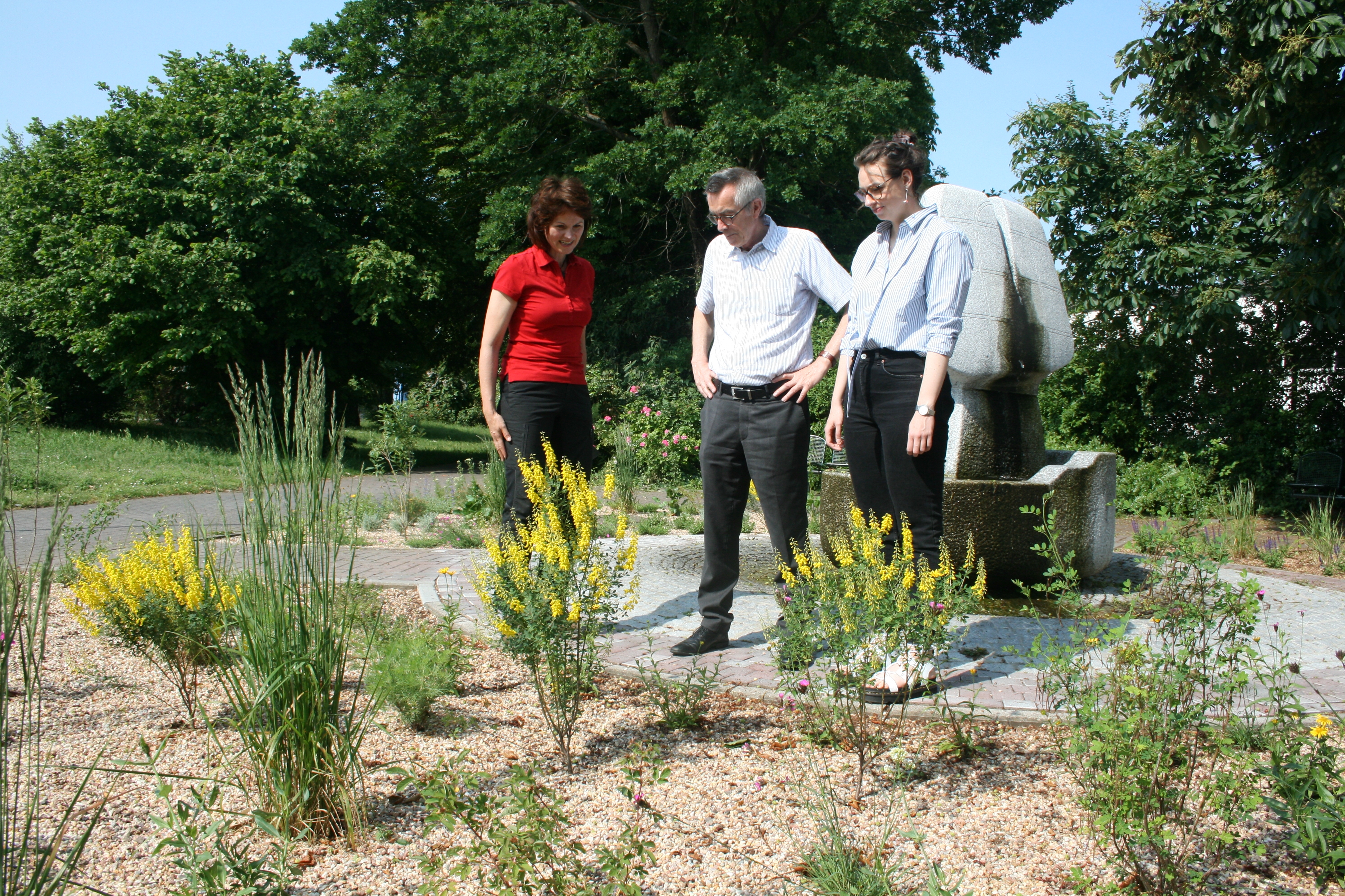Das neubepflanzte Beet am Brunnen des Künstlers Rocco Barone wird begutachtet.