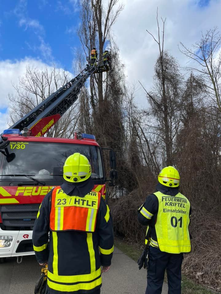 Ein Feuerwehrmann auf einer Drehleiter. Er schneidet Äste ab.