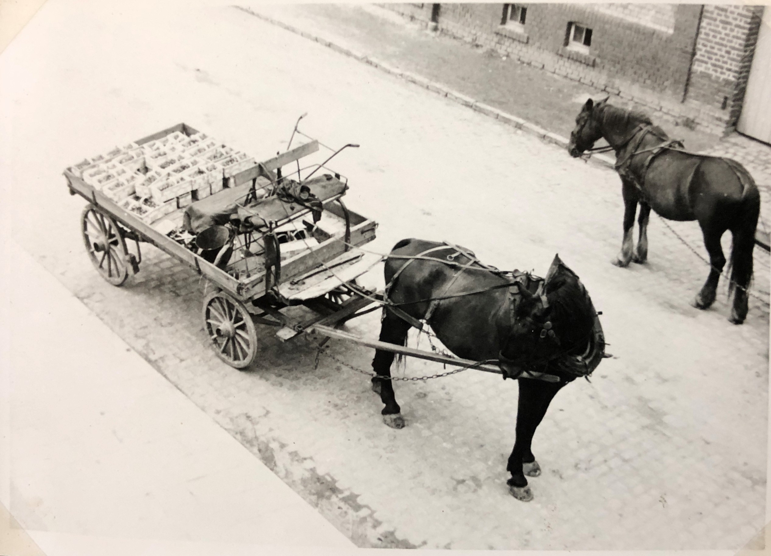Erdbeerschälchen auf einem Pferdefuhrwerk.