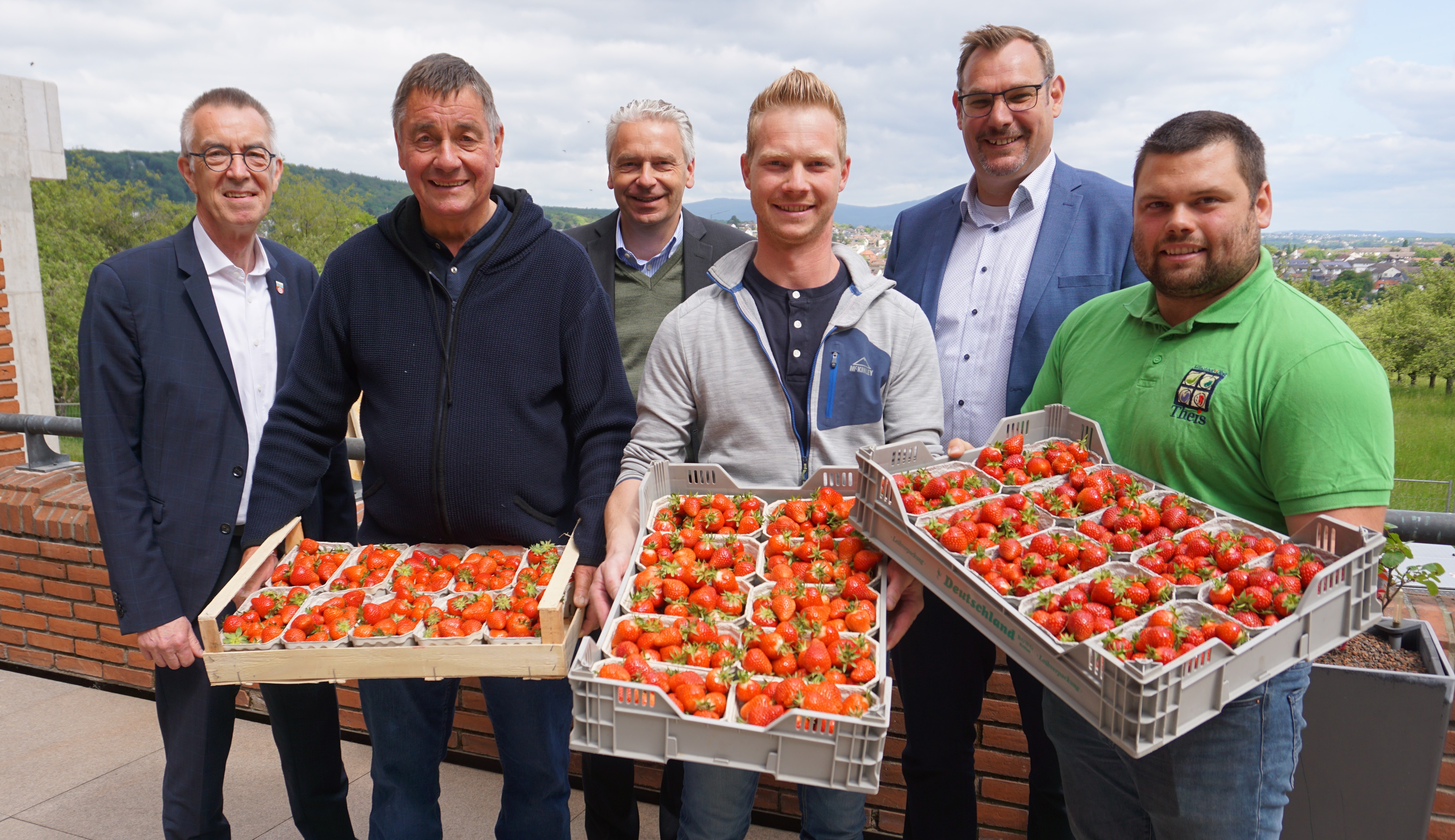 Landrat, Bürgermeister und Krifteler Erdbeerbauern mit roten Früchten.