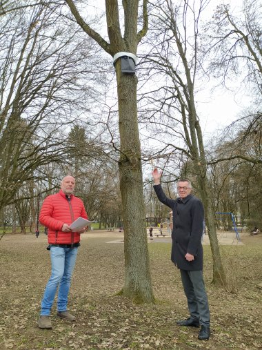 Jirasek und Bechstein neben dem Baum mit Falle.