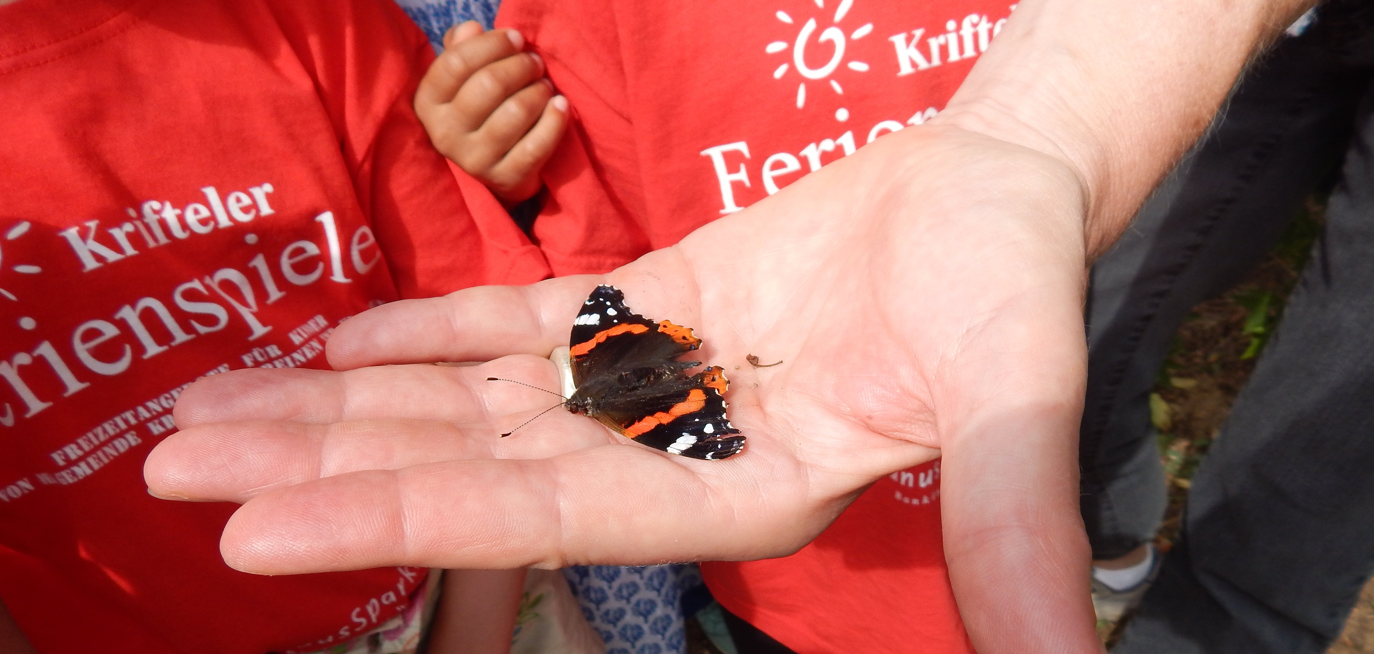 Ei Schmetterling auf einer hand und dahinter Kinder in roten Ferienspiel-Tshirts.