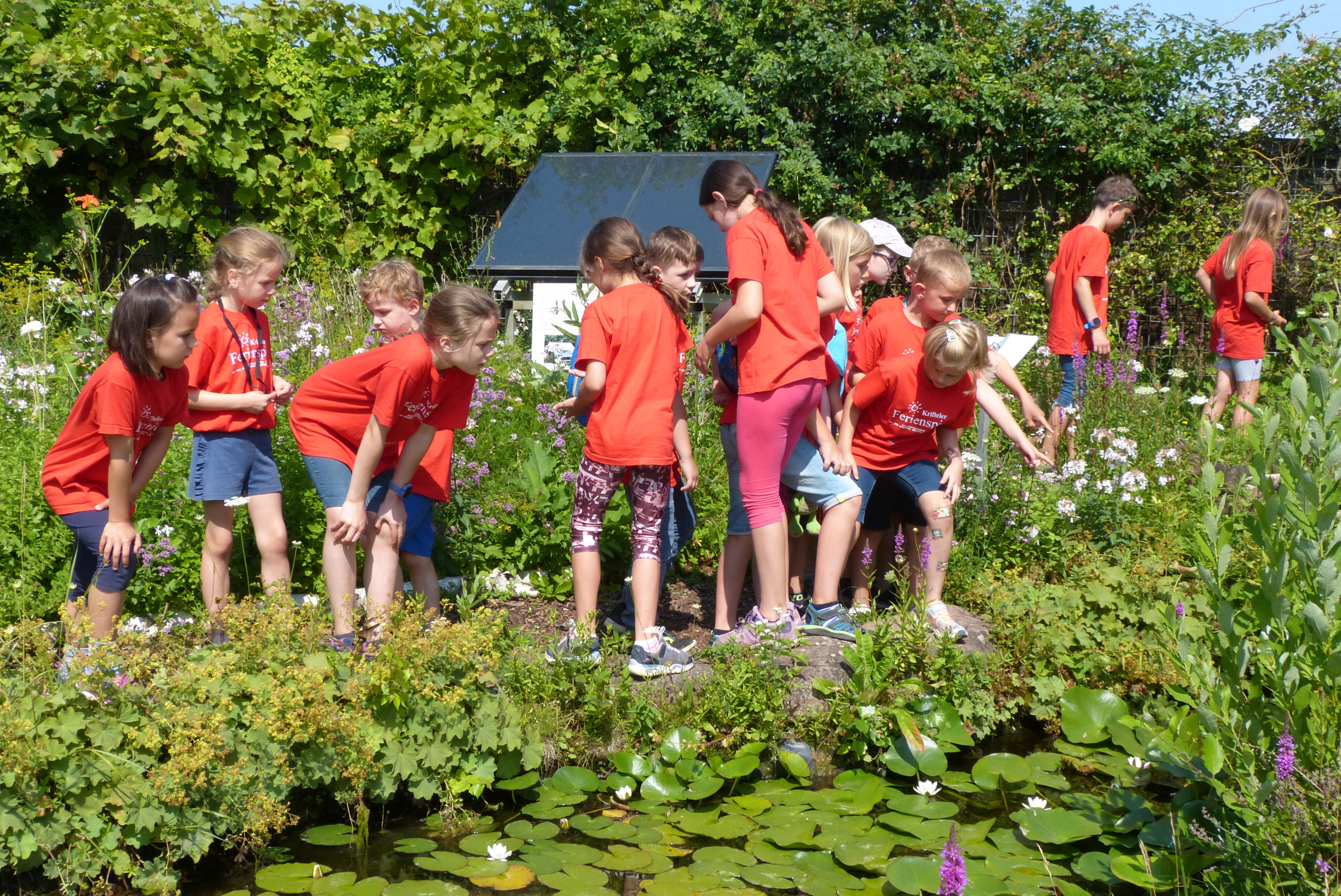 KInder schauen in einen Teich.