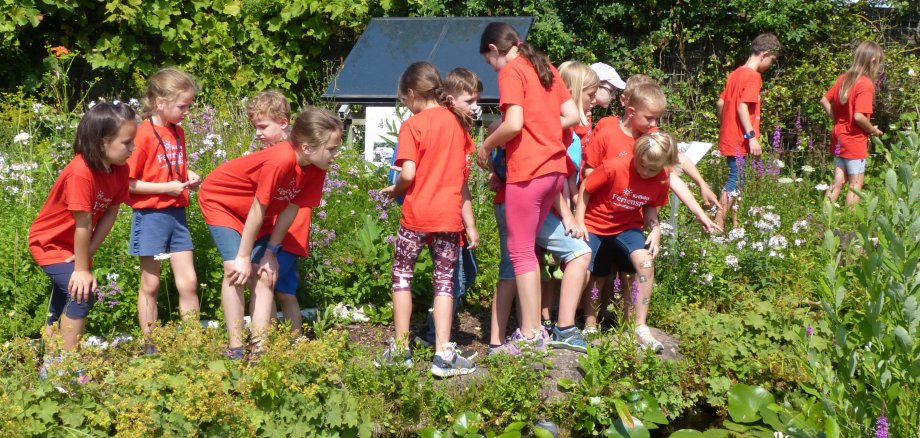 KInder schauen in einen Teich.