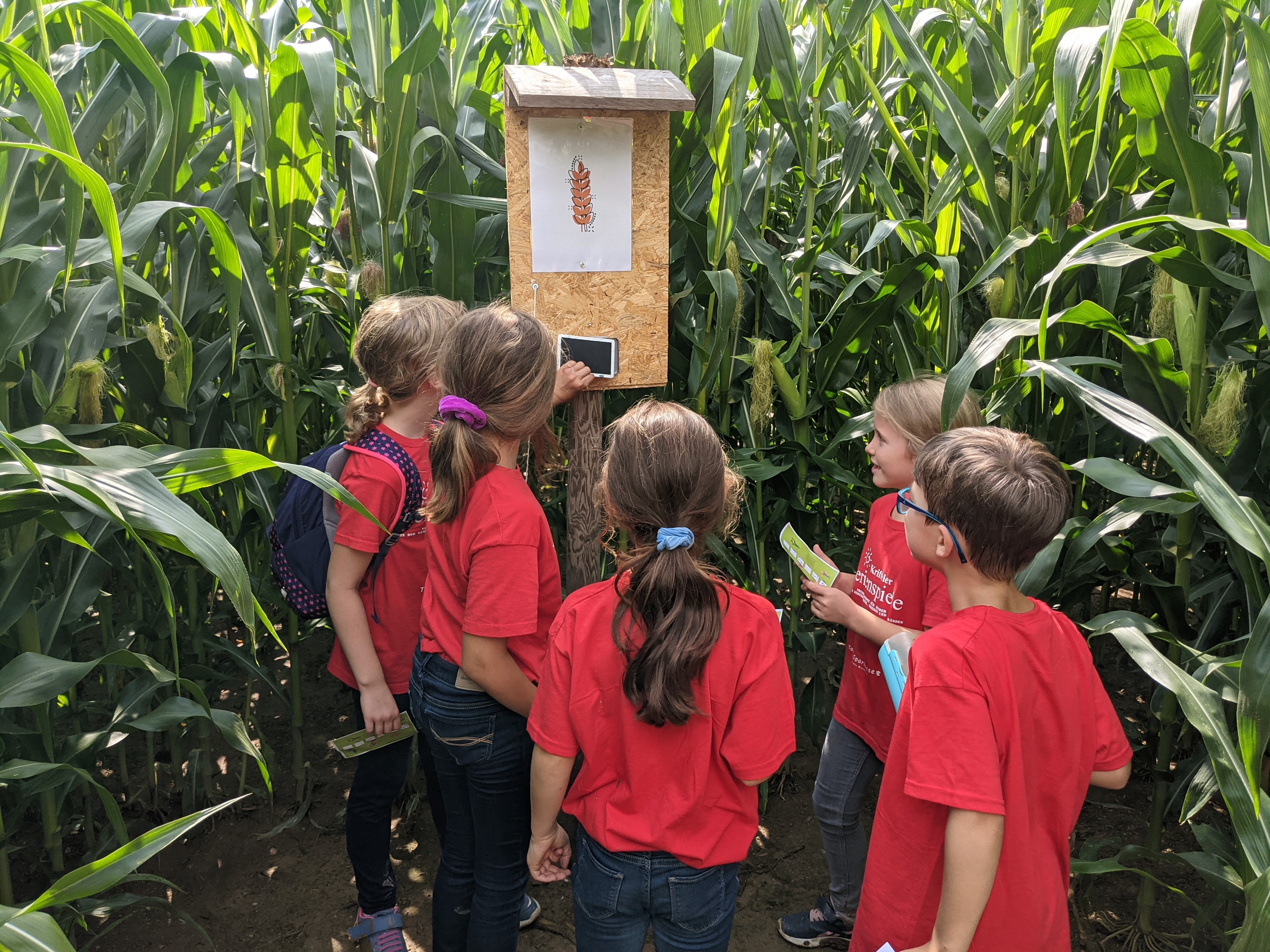 Kinder im Maislabyrinth.