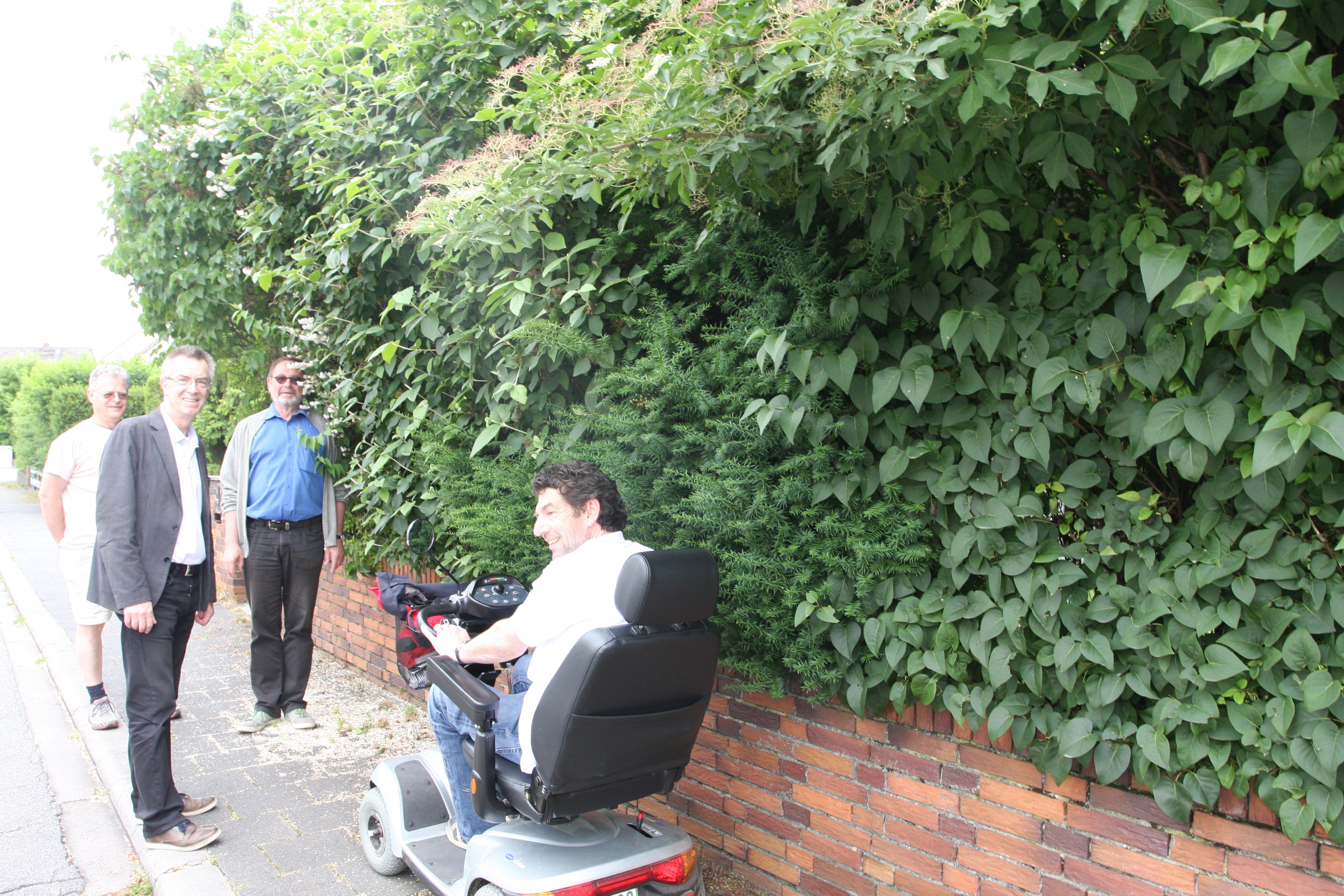 Eine Gruppe von Menschen, darunter ein Mann im Rollstuhl, vor einer großen Hecke, die in den Bürgersteig hineinragt.
