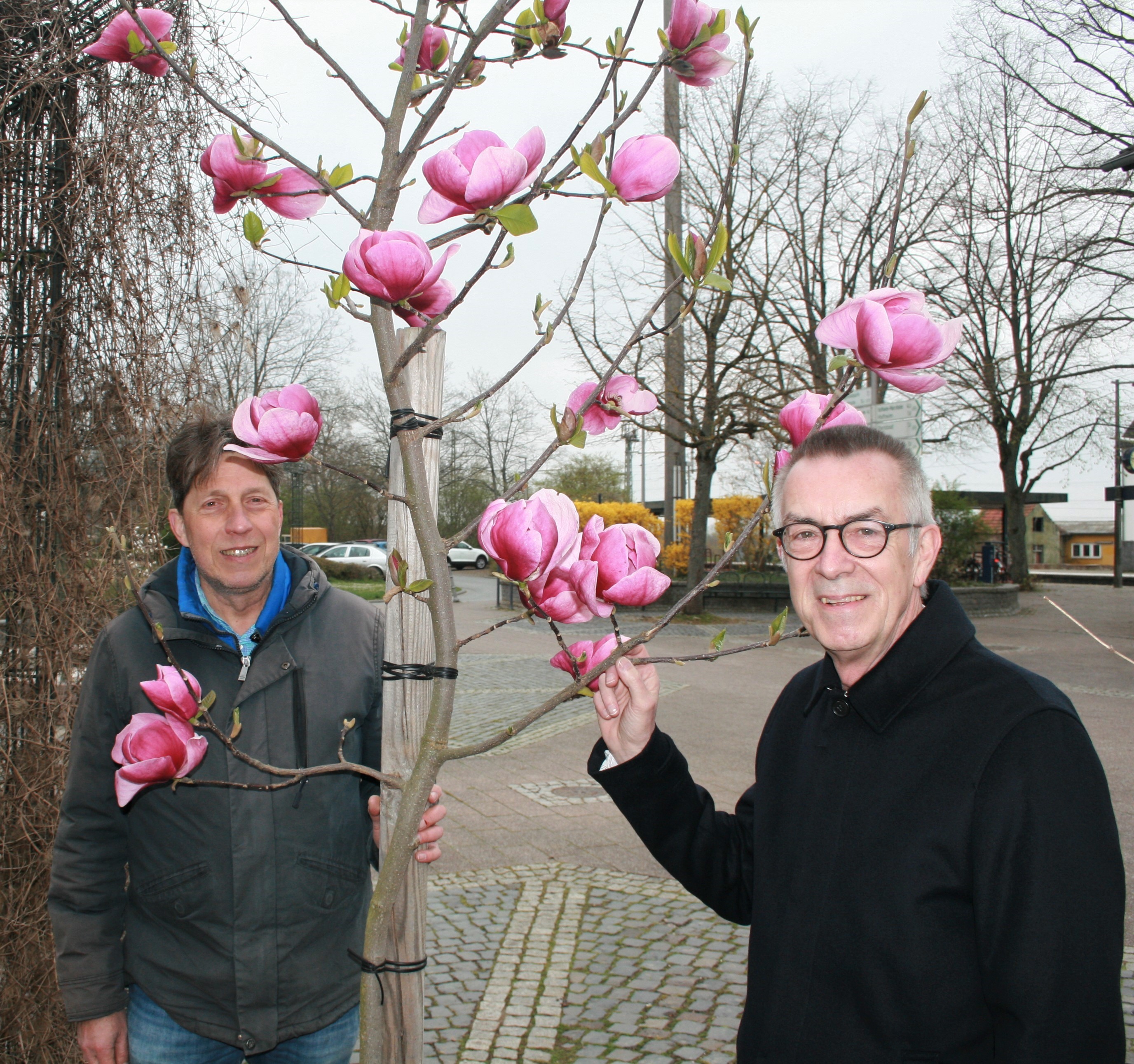 Jirasek und Züchter Hoffmann vor der Kriftel-Magnolie am Bahnhof.