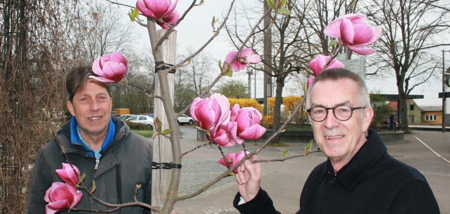 Jirasek und Züchter Hoffmann vor der Kriftel-Magnolie am Bahnhof.