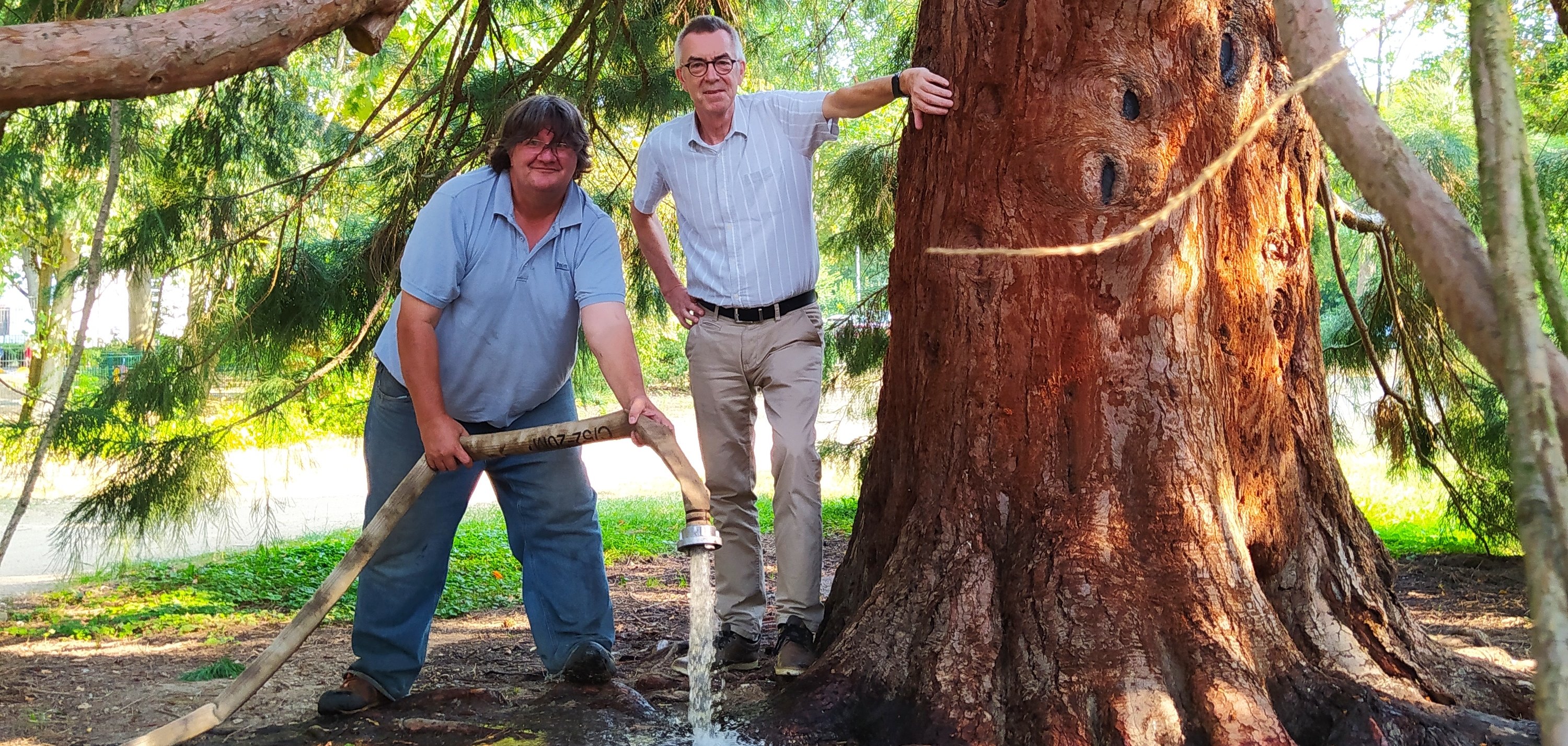 Franz Jirasek und Gärtner Thomas Metz unter dem Mammutbaum. Metz hält einen Wasserschlauch.