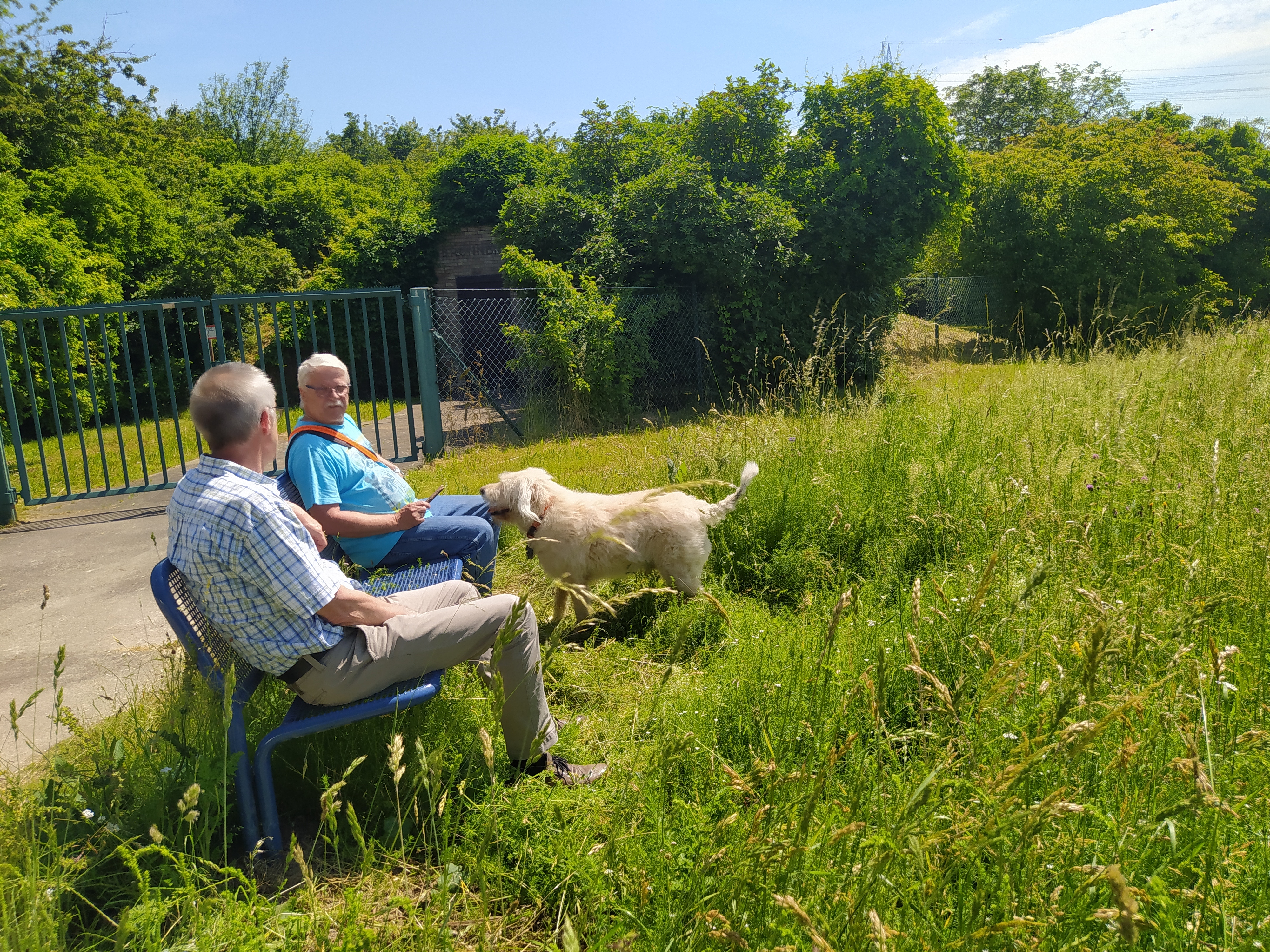Franz Jirasek mit Spaziergänger sitzen auf der neuen Bank. Ein Hund steht davor.