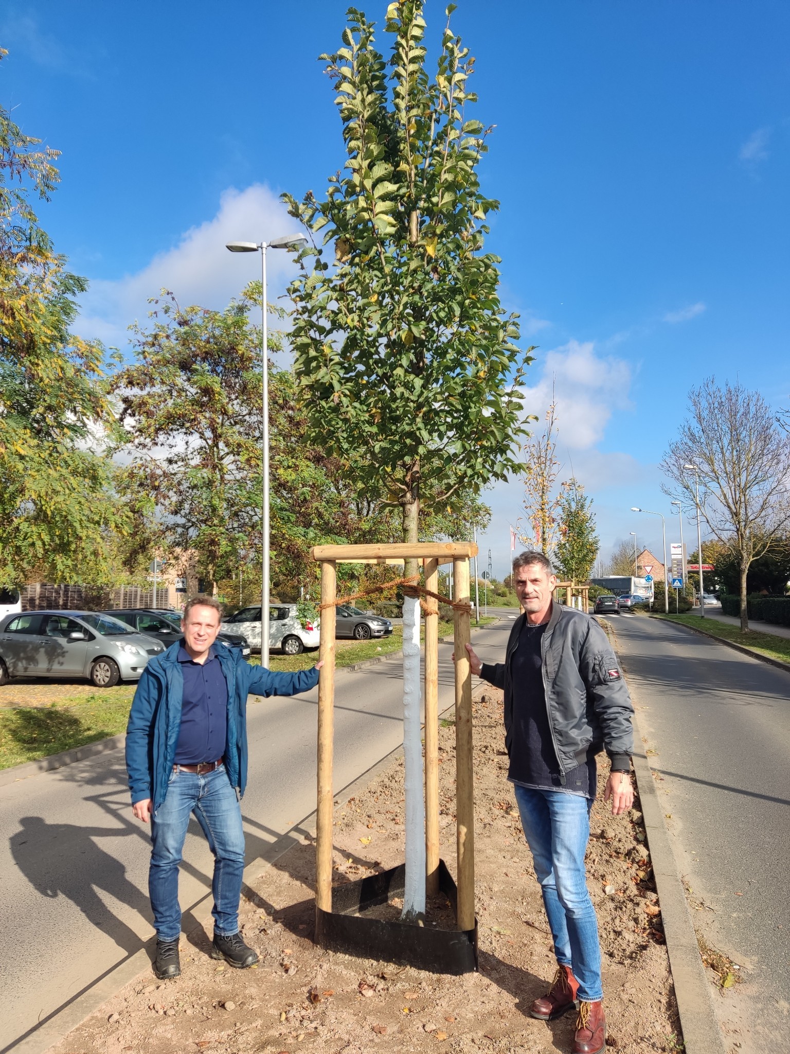 Der Erste Beigeordnete neben einer Ulme.