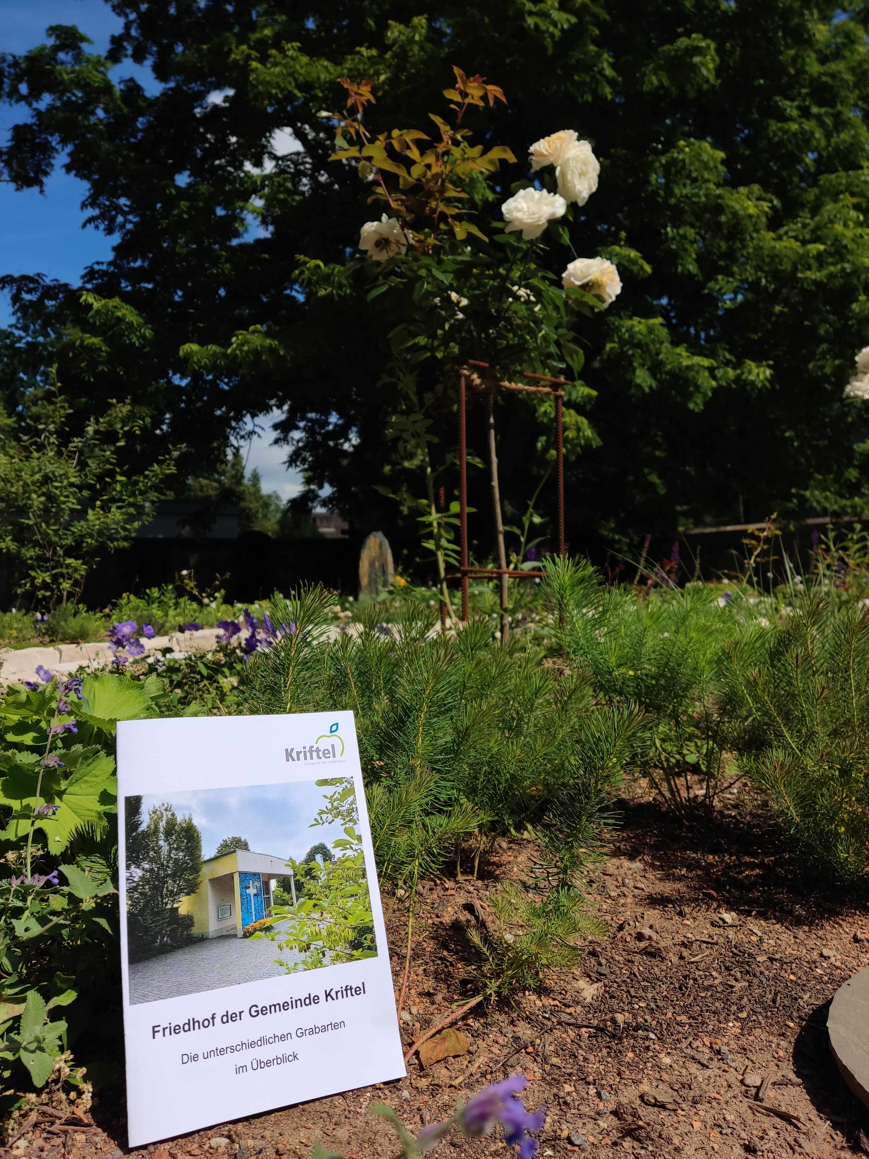 Der Flyer vor einem Grabfeld.