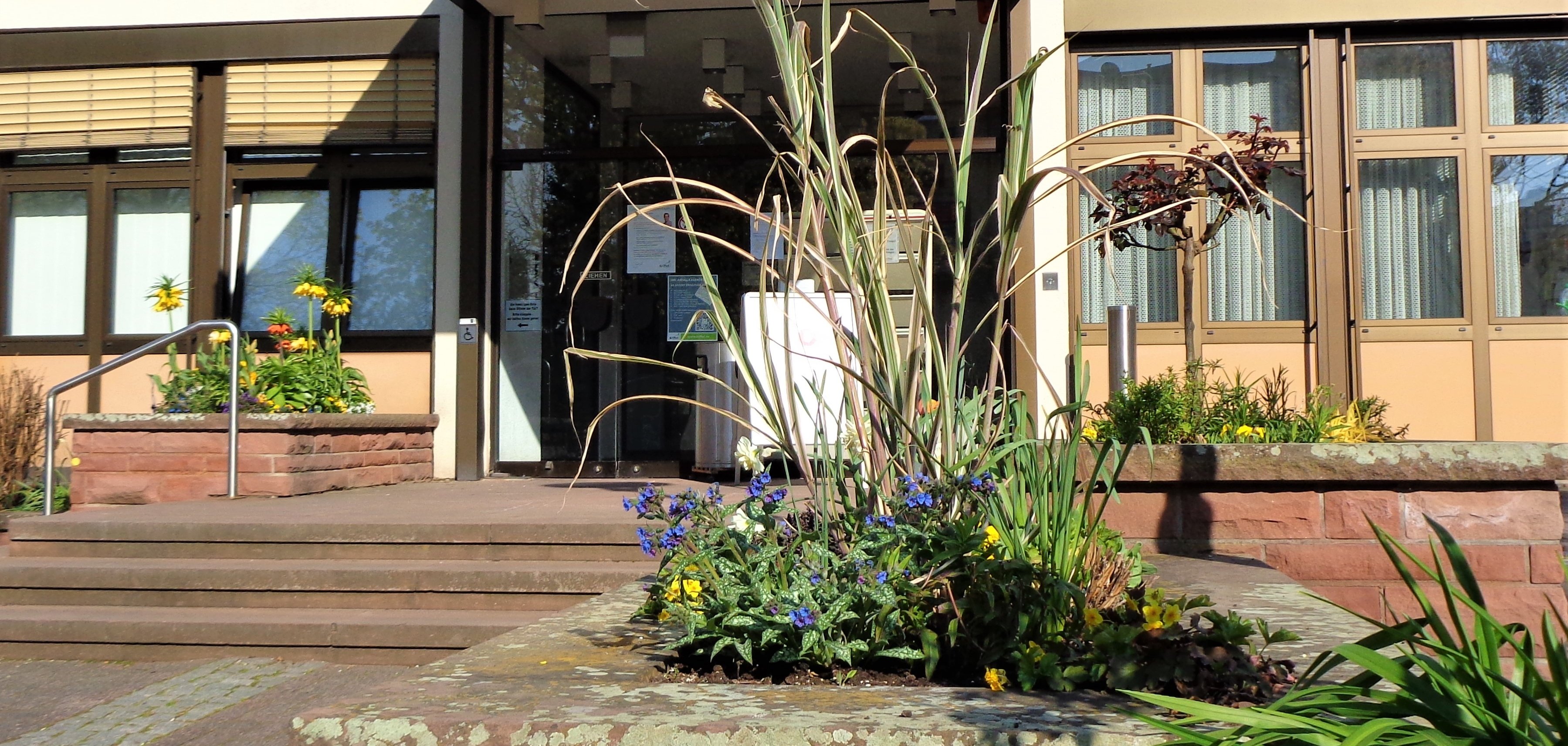 Das Rat- und Bürgerhaus mit Osterbepflanzung vor der Tür.