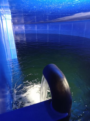 Wasser sprudelt ins blaue Becken.