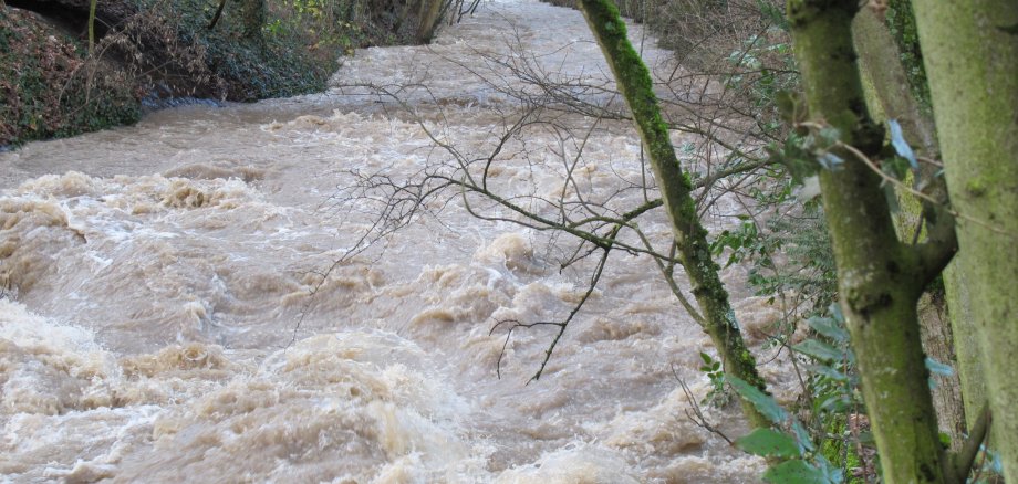 Der Schwarzbach bei Hochwasser. Ein Strom.