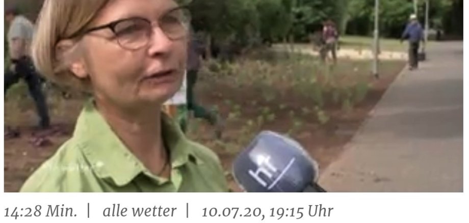 Barbara Helling im HR-Interview.