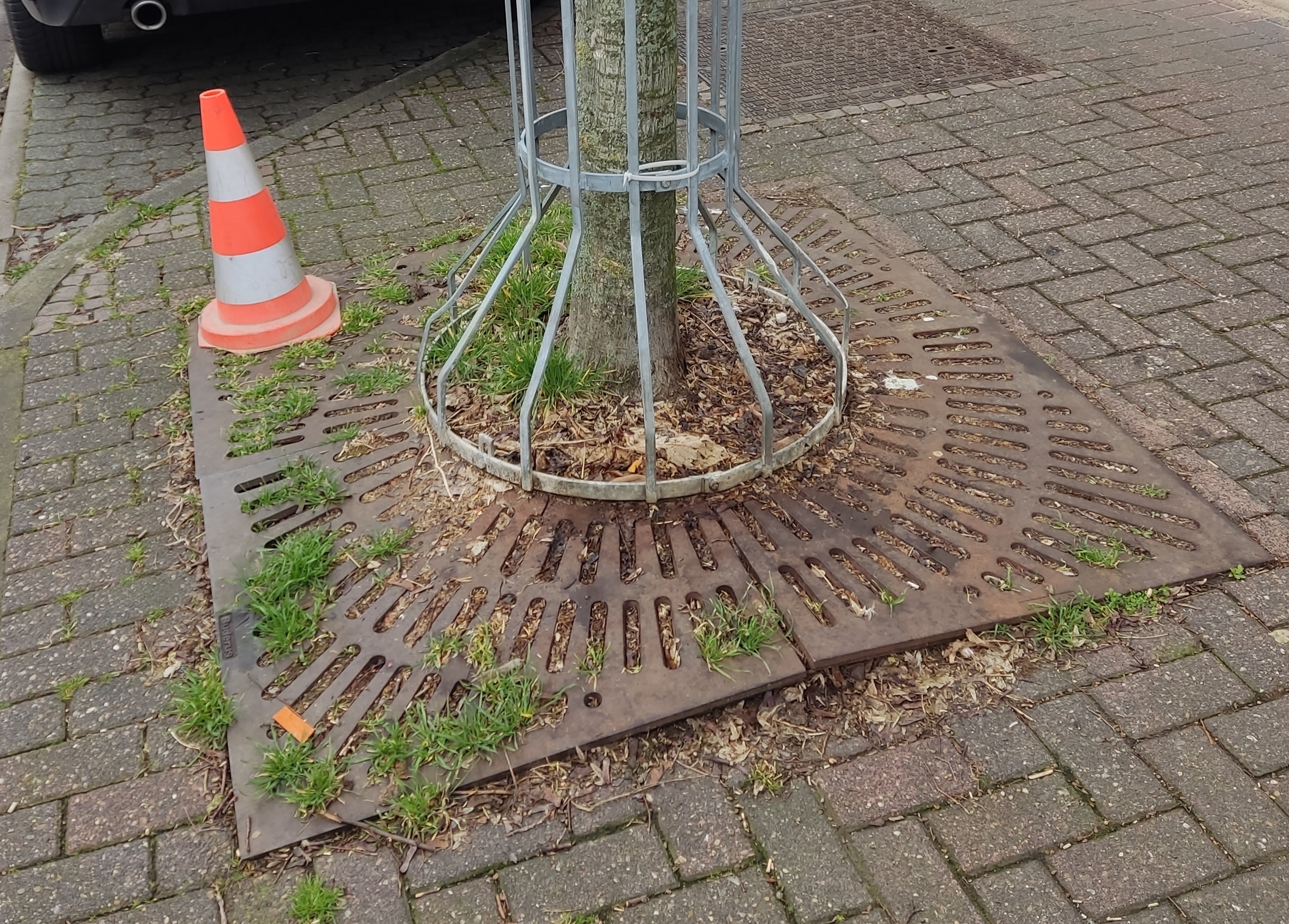 Ein angehobener Baumrost.