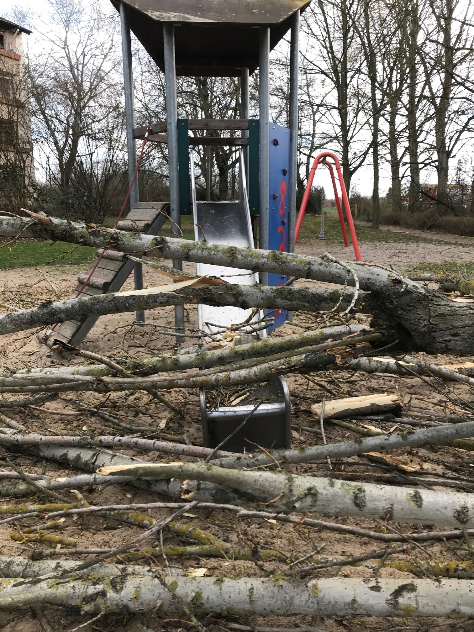 Ein umgestürzter Baum liegt quer auf einer Kinderrutsche.