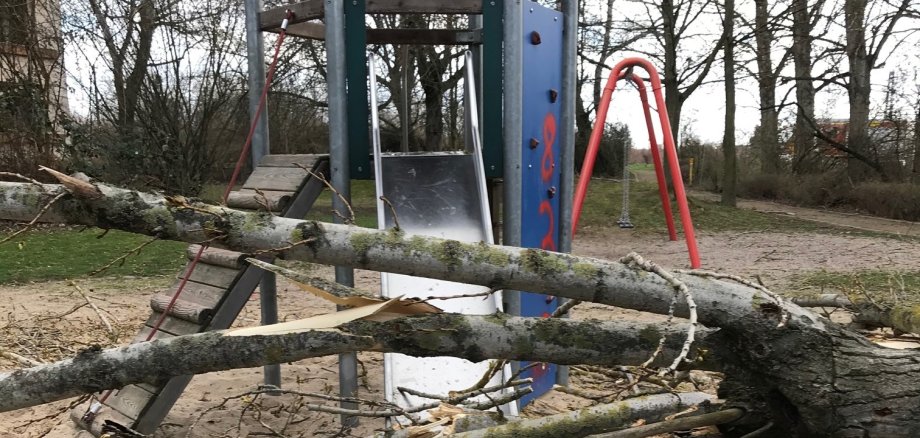 Ein umgestürzter Baum liegt quer auf einer Kinderrutsche.