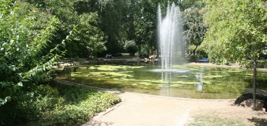 Der Weiher im Sommer mit Fontäne. Man sieht deutlich Algenteppiche.