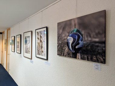 Einige Bilder an der Wand.