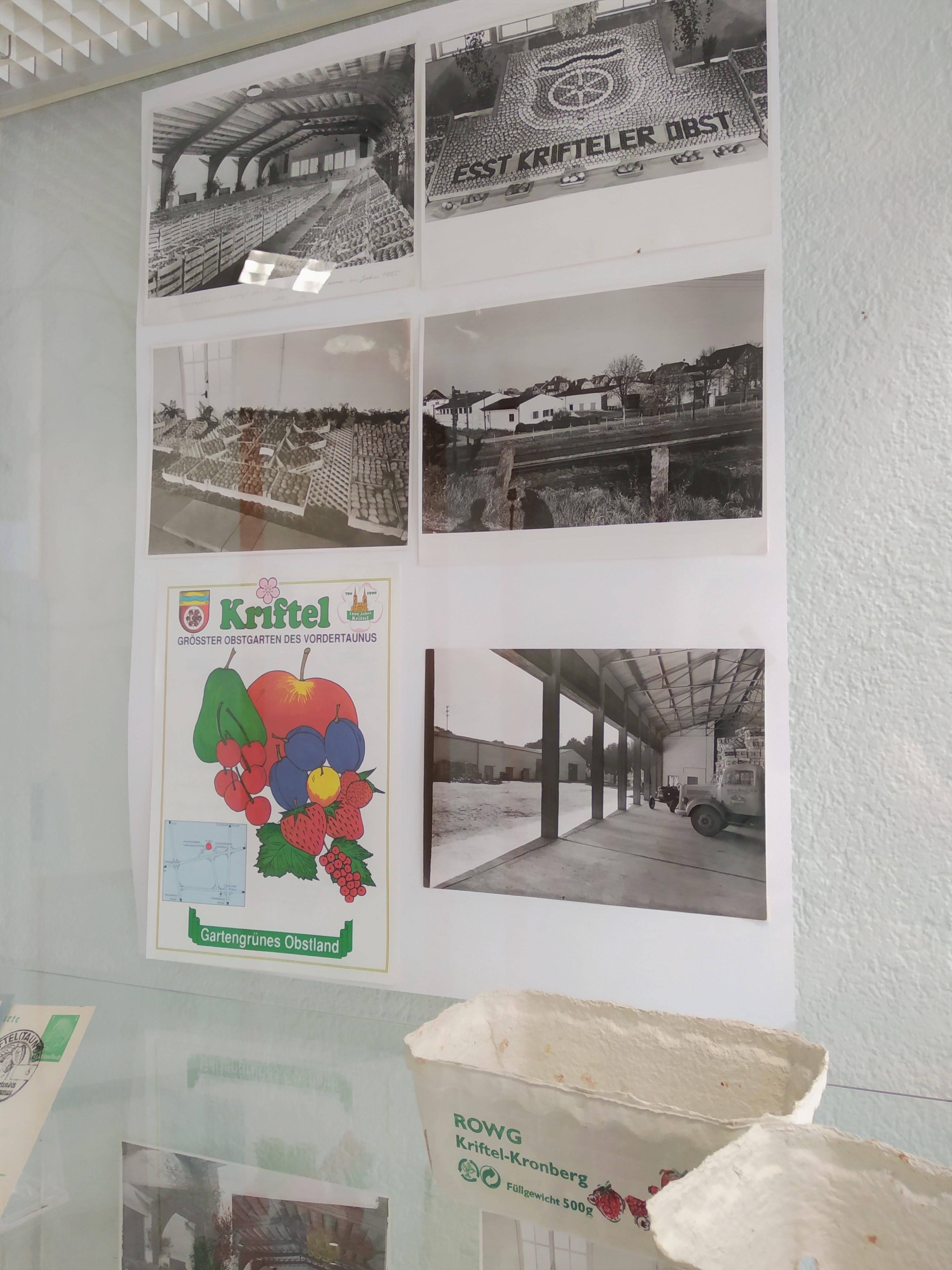 Alte Fotos und Erinnerungen an die Obst- und Warengenossenschaft.