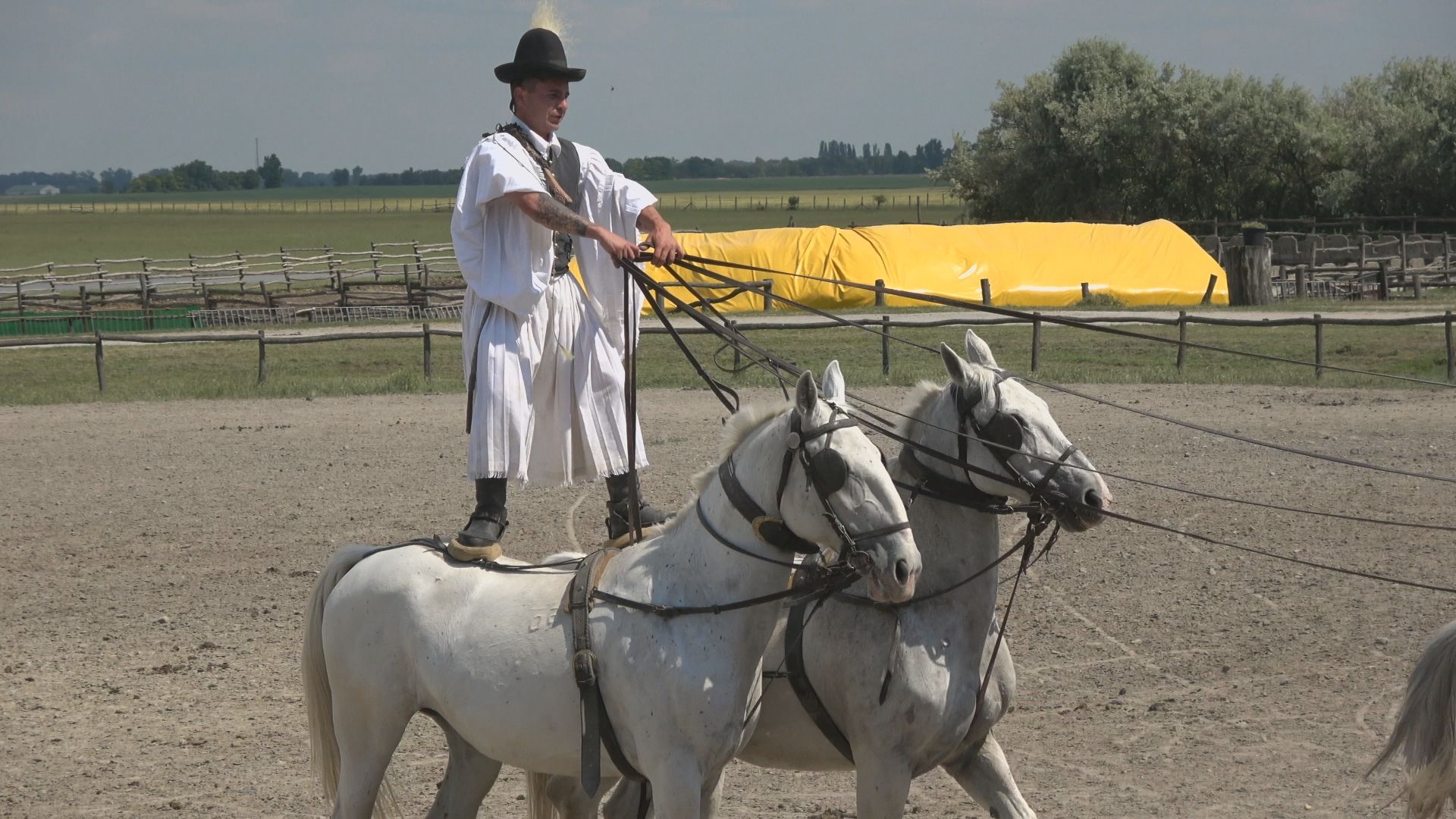 Ein UNgar steht auf zwei Pferden. Eine Impression einer Reise auf der Donau.