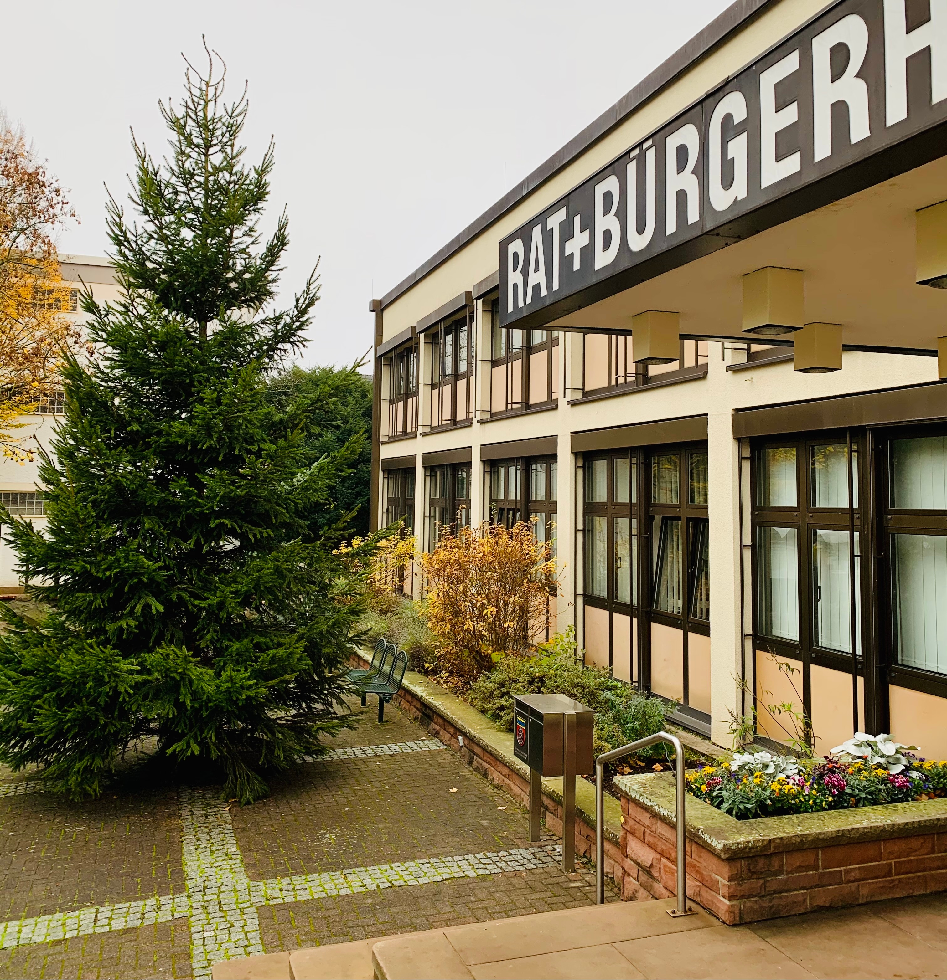 Ein großer Weihnachtsbaum vor dem Rathaus.