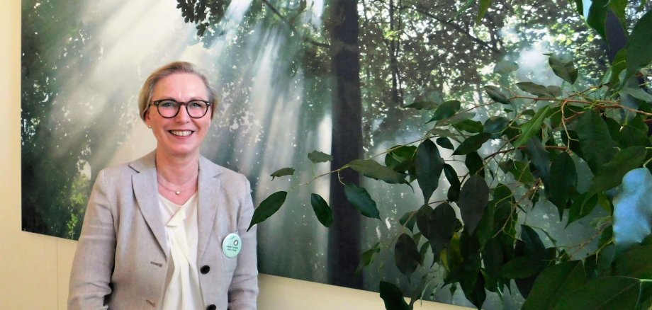 Elke Wetterau-Bein vor ihrem riesigen Lieblingsfoto im Büro: Ein Baum ist zu sehen, durch den sich Lichtstrahlen brechen.