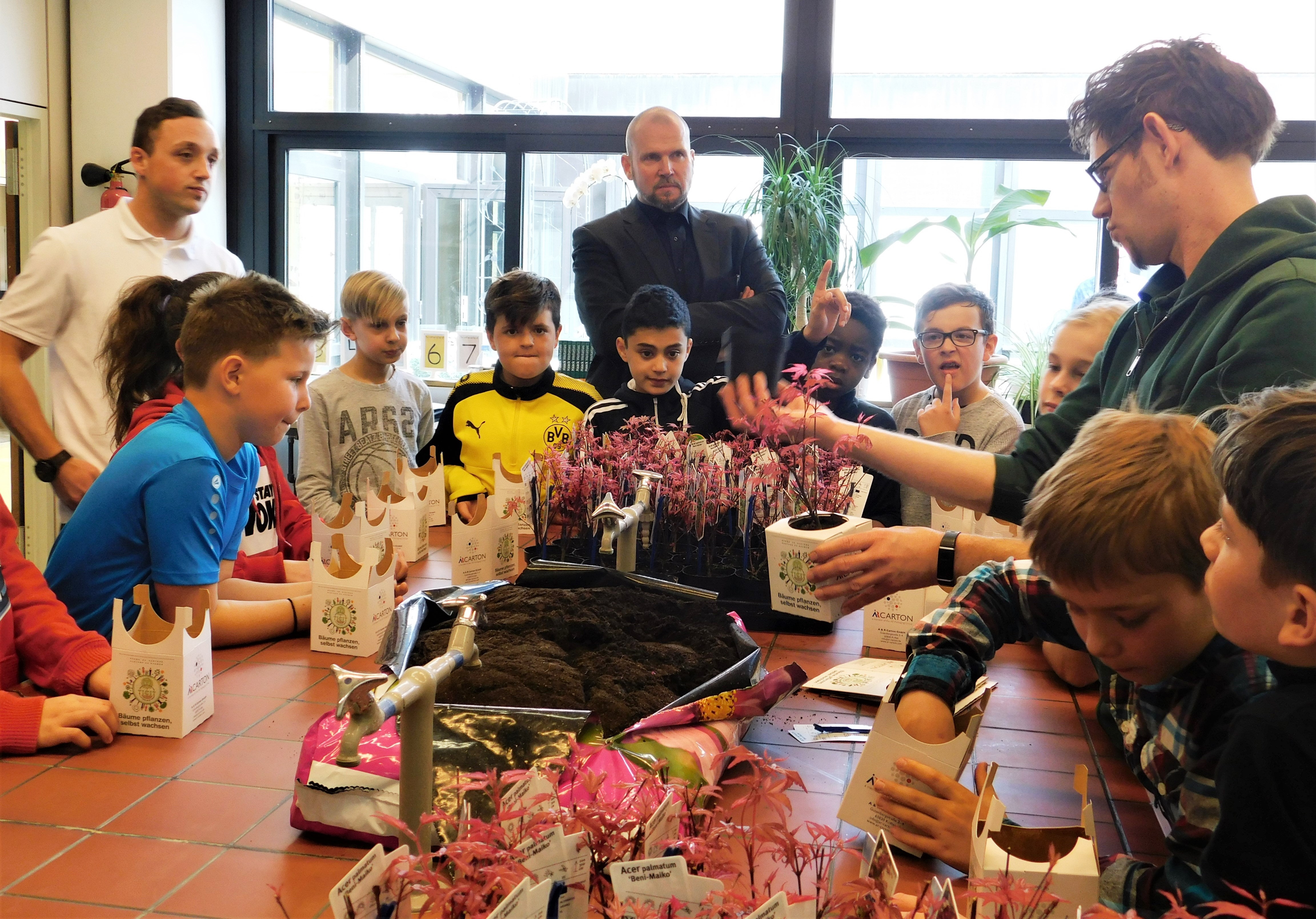 Die SChüler pflanzen Ahorne in Kartons.