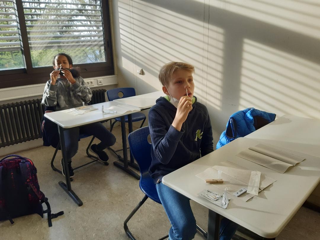 Ein Junge schiebt sich ein Teststäbchen in die Nase.